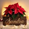 sandramejia579